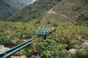 Vinicultura heróica na Espanha