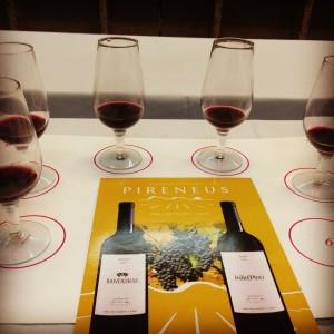 Blog Vinho Tinto participa de degustação de vinhos goianos