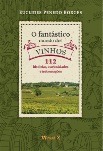 blog vinho tinto