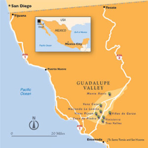 Guadalupe Valley no México