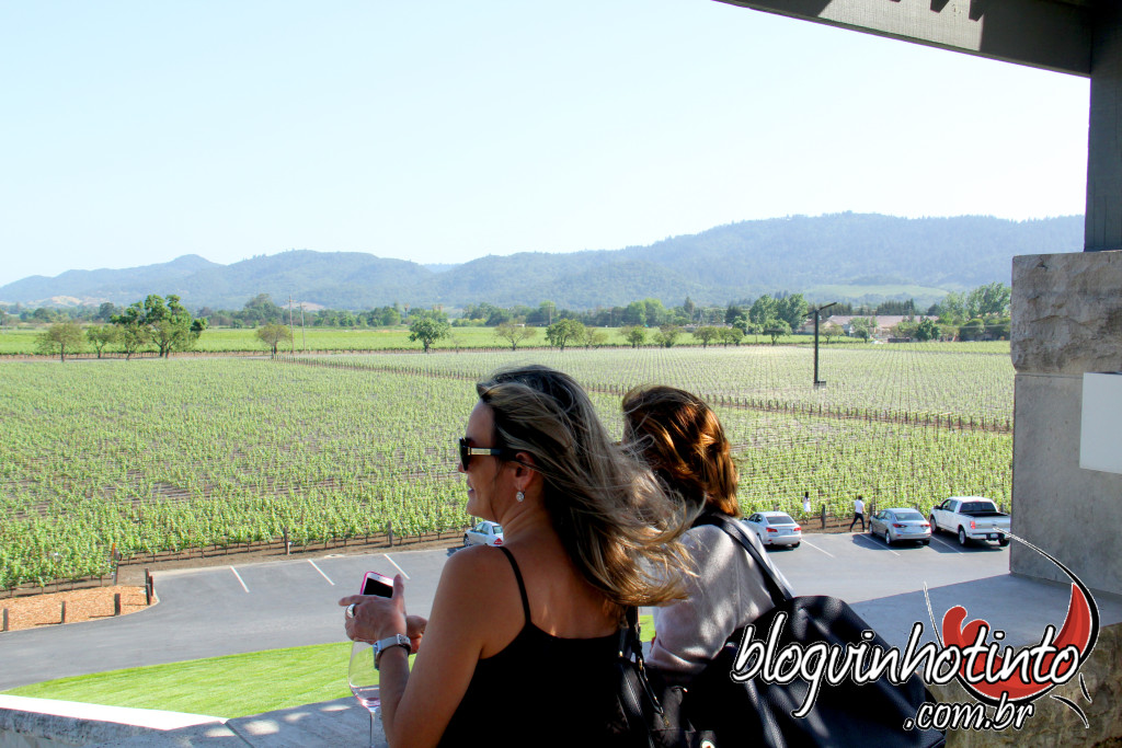 No terraço da Opus One é possível apreciar as montanhas da região - como as Mayacamas que aparecem na foto.