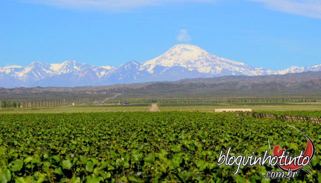 Em Mendoza, as vinícolas se confundem com oásis irrigados no deserto aos pés da belíssima cordilheira dos Andes