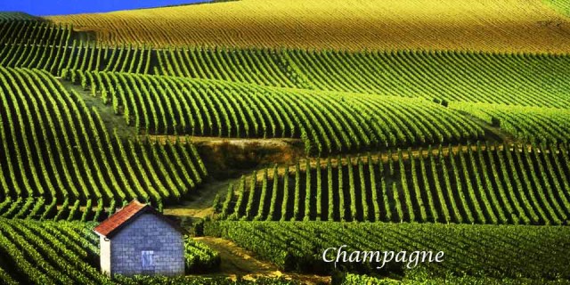 Champagne é o nome em francês da da região da França, onde a técnica da produção da bebida foi aperfeiçoada