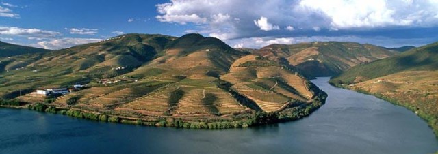 Douro - primeiro registro encontrado de uma denominação de origem de vinhos