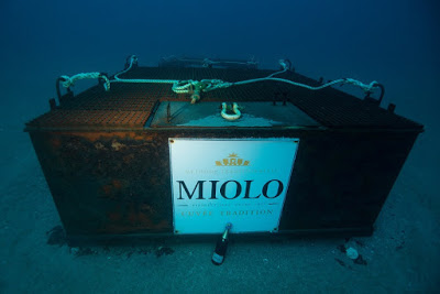 Miolo é a primeira vinícola brasileira a realizar imersão de garrafas em cave submarina