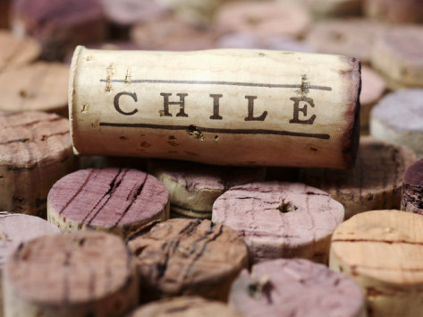 Vinhos do Chile