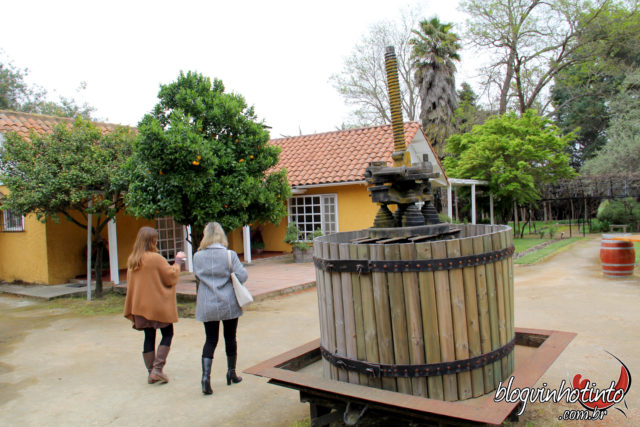 Loma Larga: Atualmente produz vinhos de alta gama de duas únicas linhas: a Loma Del Valle e a Loma Larga.