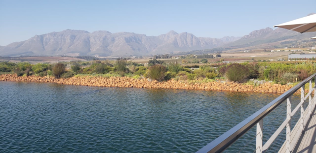 Bela vista da vinícola Asara, localizada em Stellenbosch