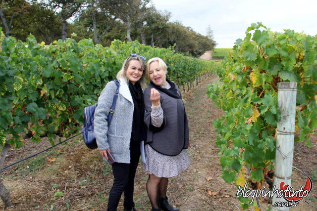 Eu e a simpática e atenciosa, Karen Woodcook, diretora de Marketing da Groot Constantia para conhecer e degustar as uvas secas para produção do famoso Grand Constance