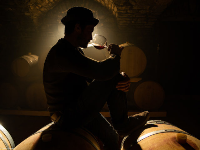 Pinot Noir Barrel Sampling At Pasji Rep Wines, Vipava Valley, do fotógrafo esloveno Miha Bratina Enólogo degusta um Pinot Noir