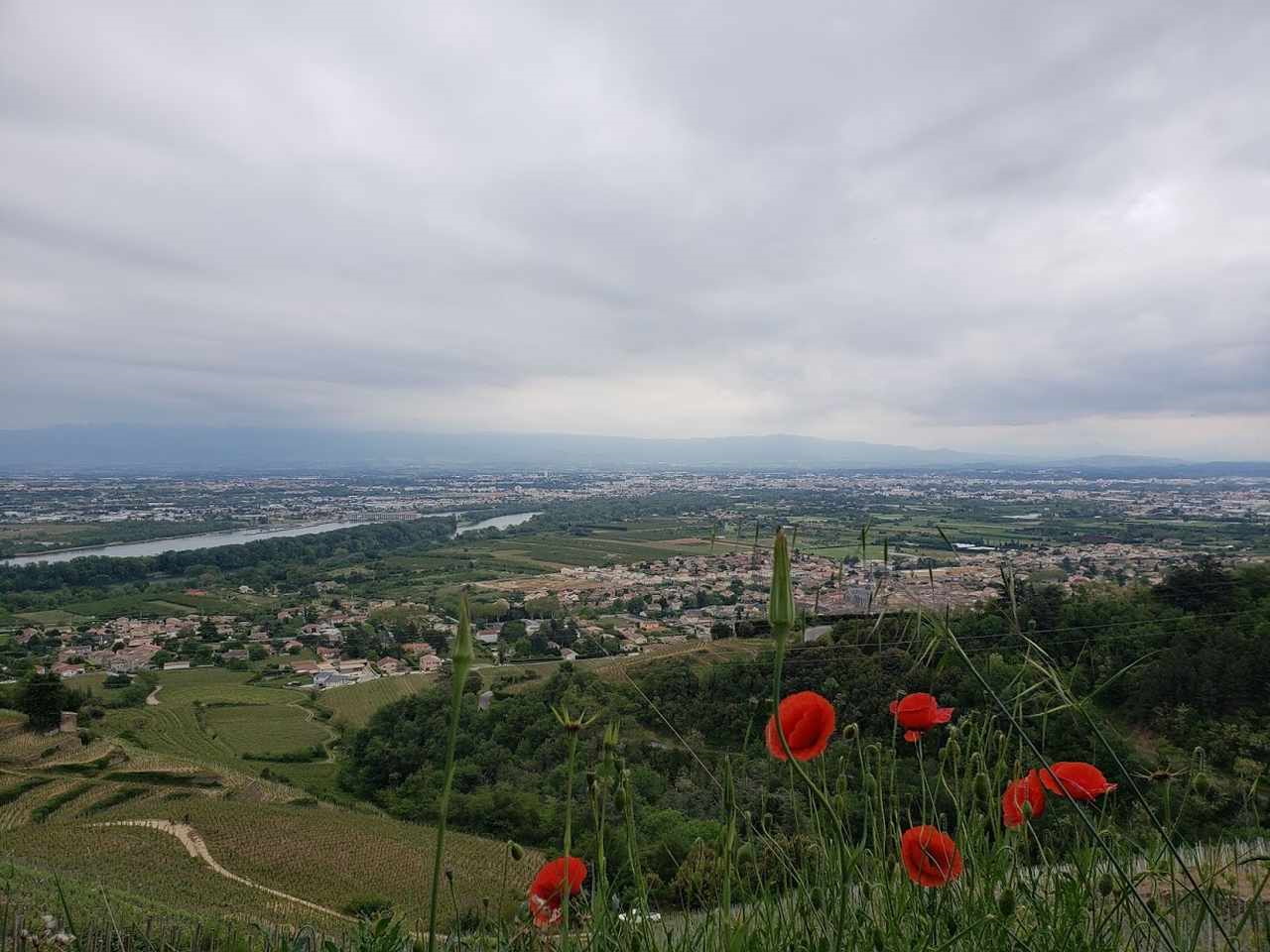 Vista das encostas do Vale do Rhône
