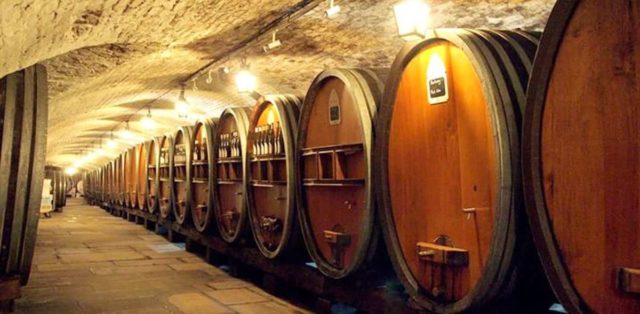 qual o vinho mais antigo do mundo