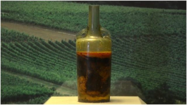 qual o vinho mais antigo do mundo