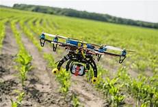 Drones auxiliam na viticultura de precisão