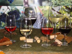 Aprenda a elaborar vinhos com a Embrapa
